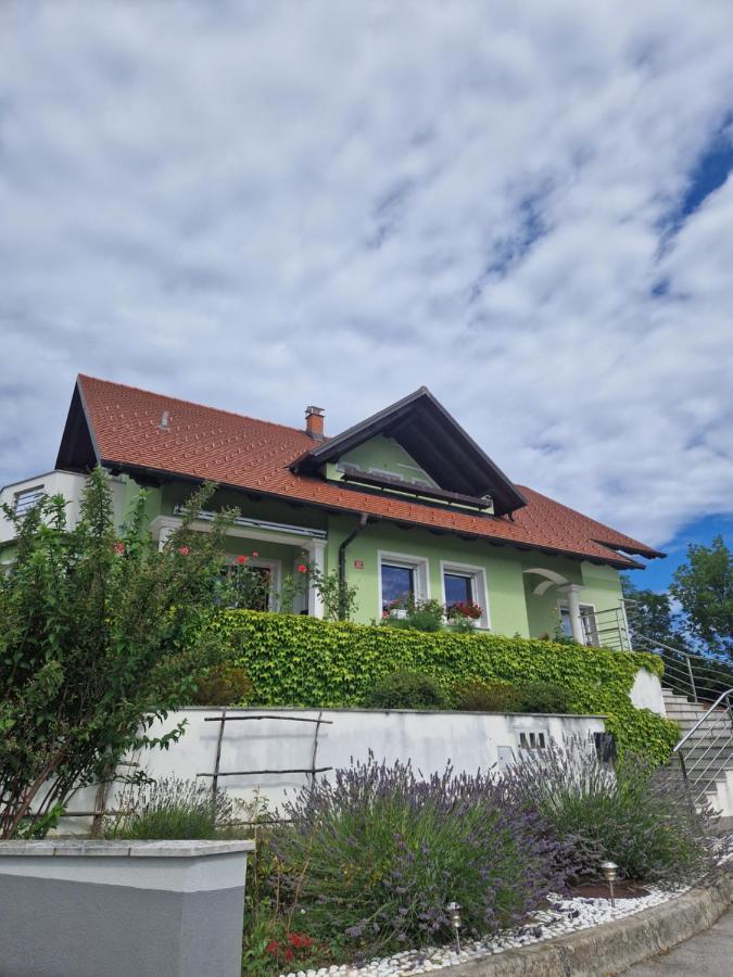 Green House Apartment Pivka Buitenkant foto